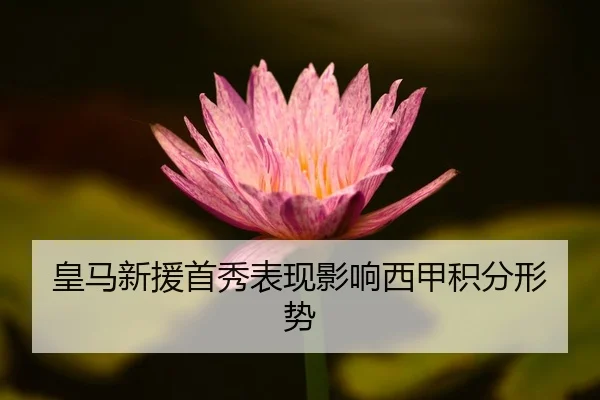 皇马新援首秀表现影响西甲积分形势